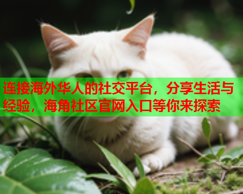 连接海外华人的社交平台，分享生活与经验，海角社区官网入口等你来探索